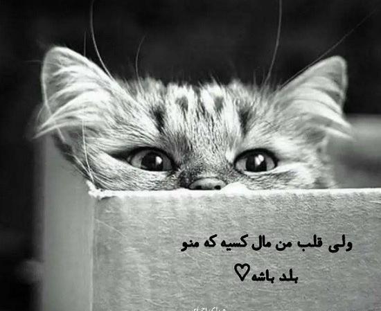 عکس نوشته جذاب من