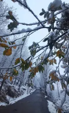 عکس نوشته ای ماه ترین عموی دنیا عباس