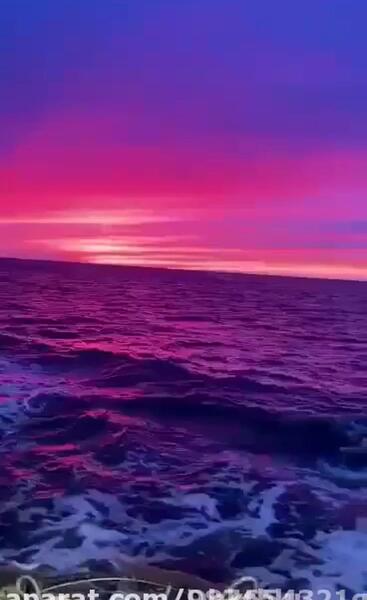 عکس دریای بنفش