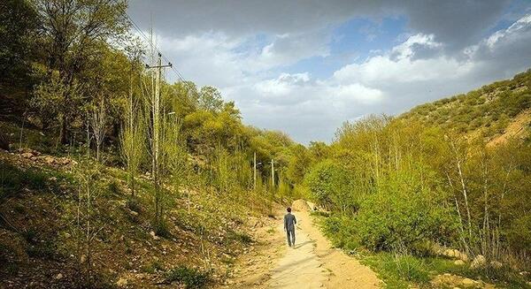 عکس شیراز بهشت گمشده
