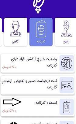عکس شماره پاسپورت