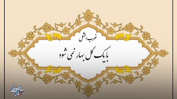 عکس تصویر ضرب المثل با یک گل بهار نمی شود