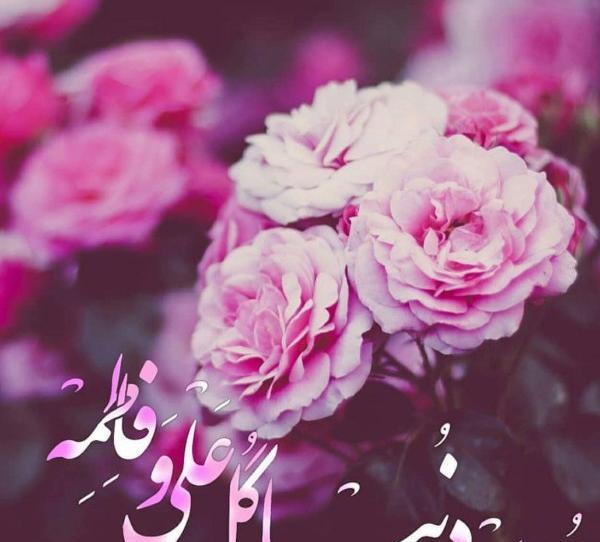 عکس زیبا برای تولد امام حسین
