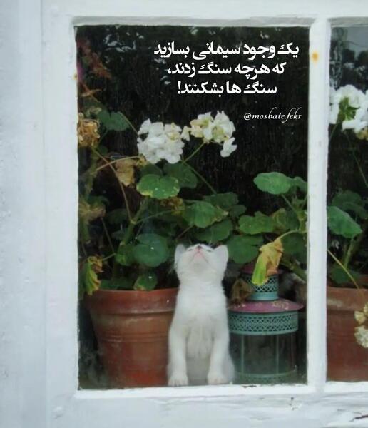 عکس نوشته چشم خونی