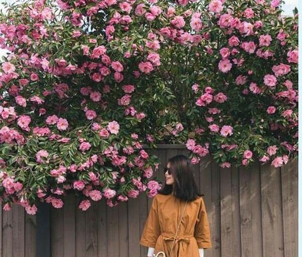 عکس چانیول و خواهرش
