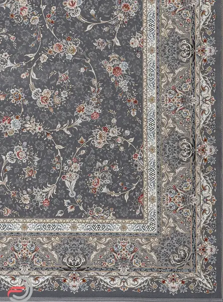 عکس رنگ دلفینی
