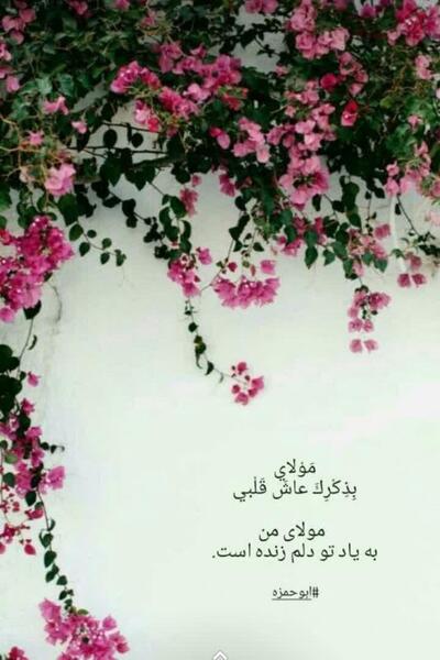 عکس ابوحمزه