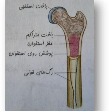 عکس نوشته رفتن و دور شدن
