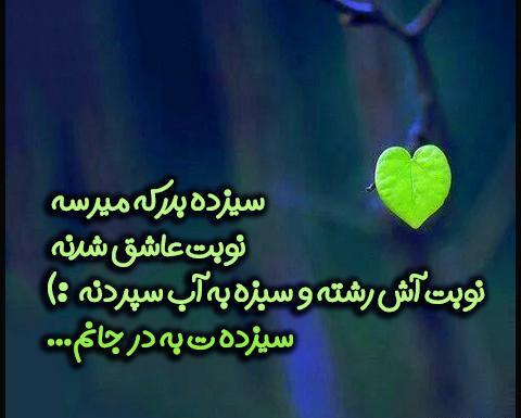 عکس روز طبیعت بارانی