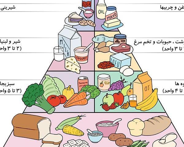 عکس نقاشی ساده چهار گروه مواد غذایی