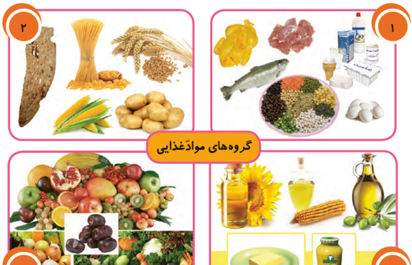 عکس نقاشی ساده چهار گروه مواد غذایی
