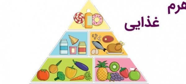 عکس نقاشی ساده چهار گروه مواد غذایی