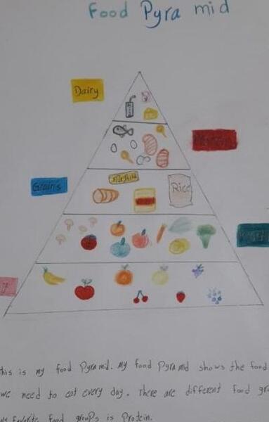 عکس نقاشی ساده چهار گروه مواد غذایی
