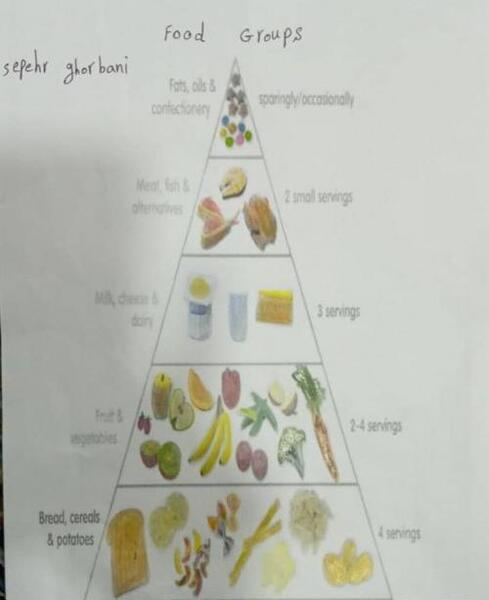 عکس نقاشی ساده چهار گروه مواد غذایی