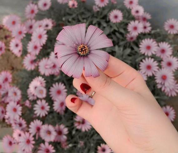 عکس پروفایل ساده بدون متن رنگی