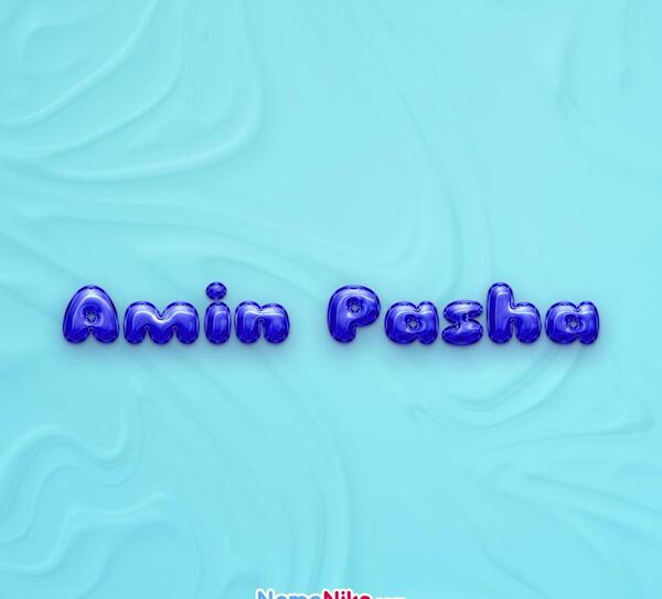 عکس امین پاشا