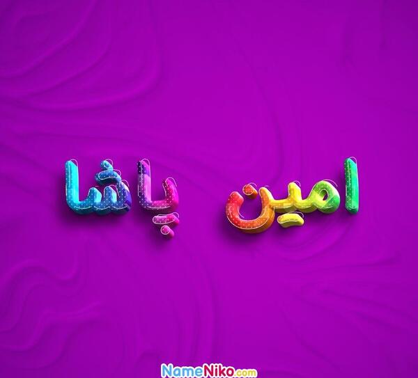 عکس امین پاشا