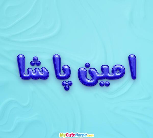 عکس امین پاشا