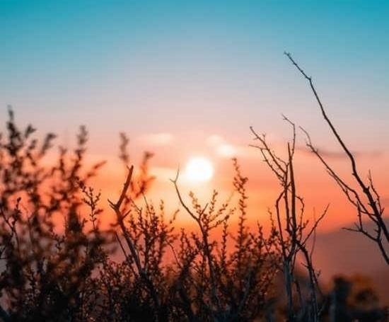 عکس طلوع خورشید فیک