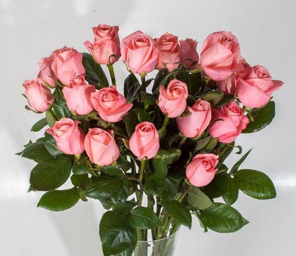 عکس کت شلوار گلبهی