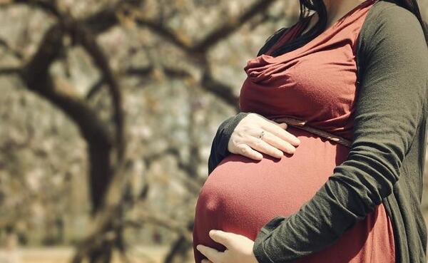 عکس فرفره های انفجاری بی بلید