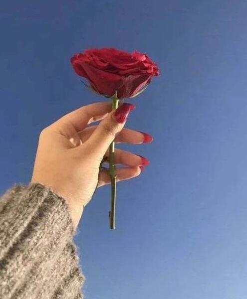 عکس پروفایل زیبا شاخ
