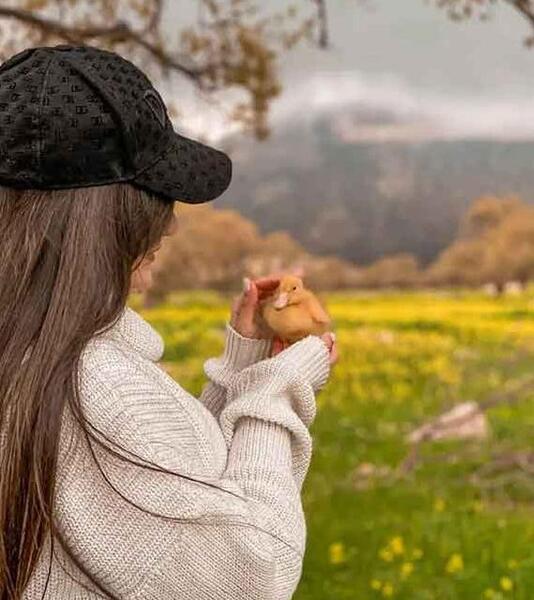عکس پروفایل زیبا شاخ