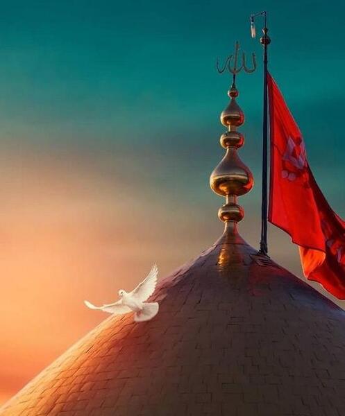عکس مرقد امام حسین جدید