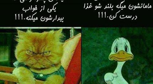 عکس نوشته جوک افغانی