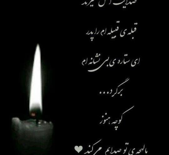 عکس اسب ژاپنی