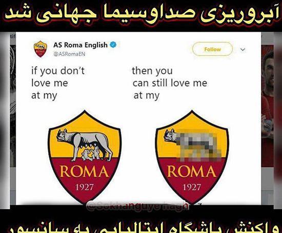 عکس گرگ فوتبال