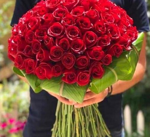 عکس گل قرمز خوشگل