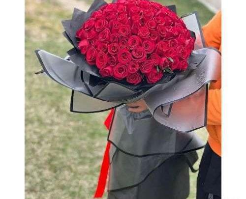 عکس یک گل رز