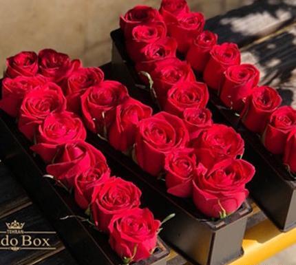 عکس گل رز با حرف h