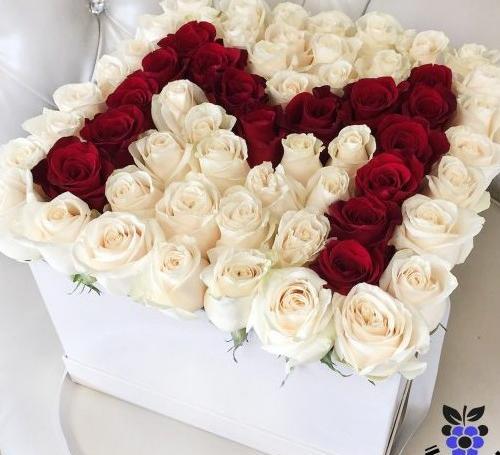 عکس گل رز با حرف h