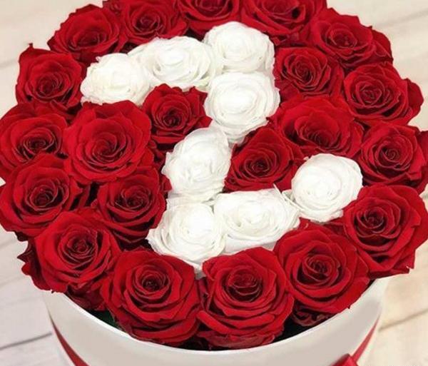عکس گل رز با حرف h