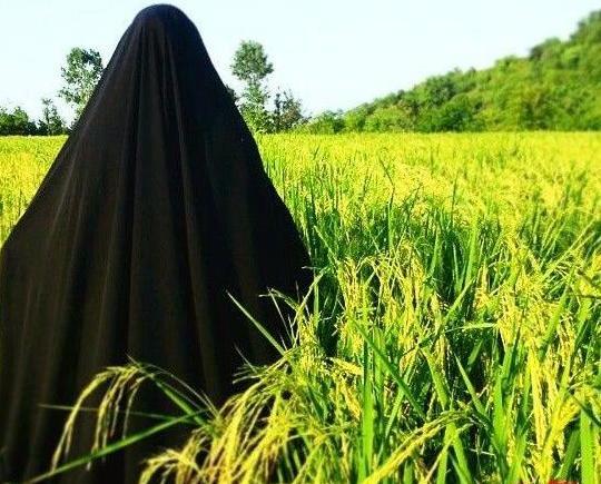 عکس چادری در طبیعت