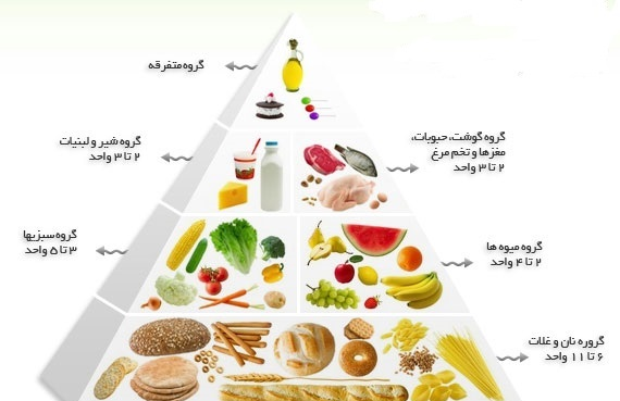 عکس هرم غذایی کلاس هفتم کاروفناوری