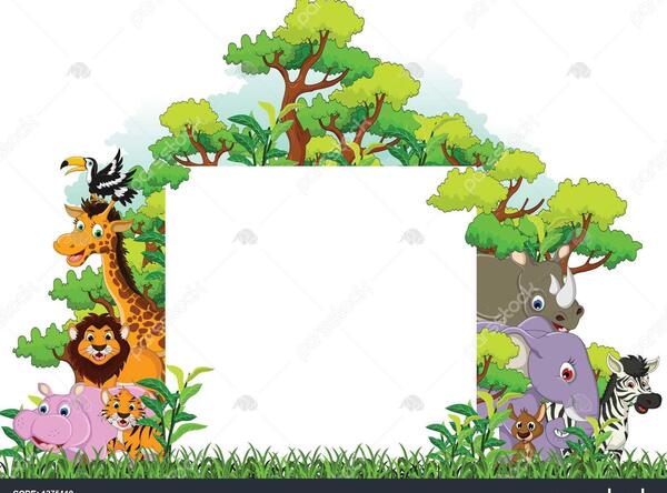 عکس تصویر پس زمینه جنگل