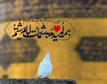 عکس نوشته رفتن به زیارت امام رضا