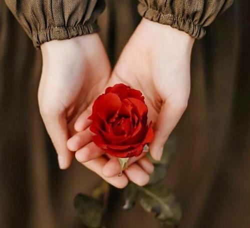 عکس گل توی دست
