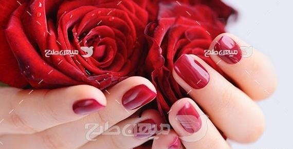 عکس گل توی دست