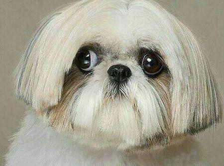 عکس نوشته جدید طنز خنده دار