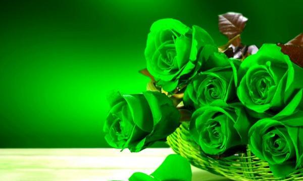 عکس نوشته خواهر و برادر کوچک