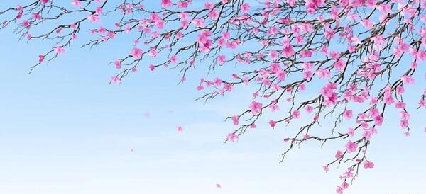 عکس پس زمینه بهاری