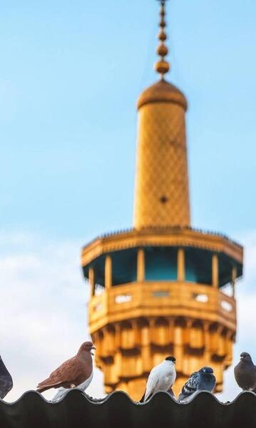 عکس حرم امام رضا برای پروفایل بدون متن