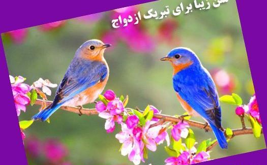 عکس سالگرد ازدواج شوهر