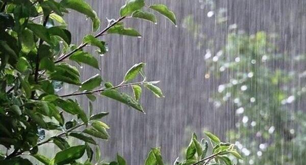 عکس خانم مجری ژیلا صادقی