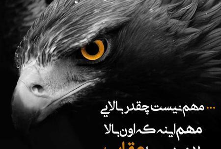 عکس نوشته جدید کنایه