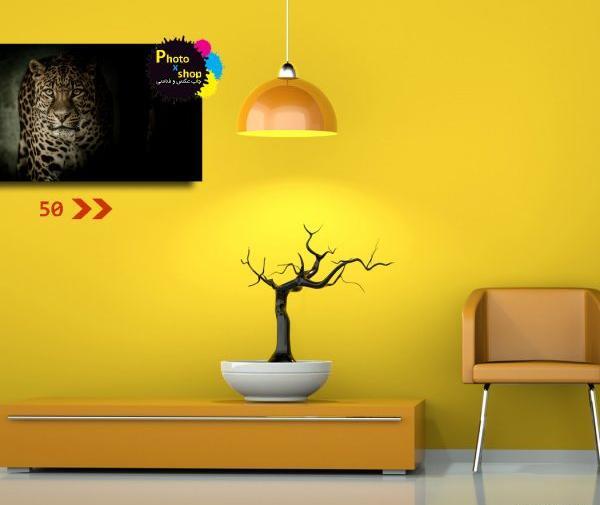 عکس پاییز نیمکت
